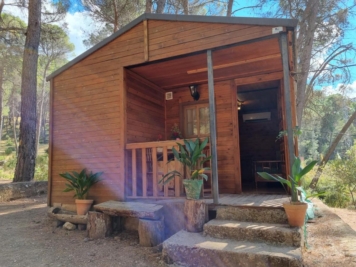 Cabanas El Robledo El Robledo  Eksteriør bilde